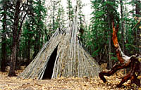 camp2.jpg (23022 bytes)